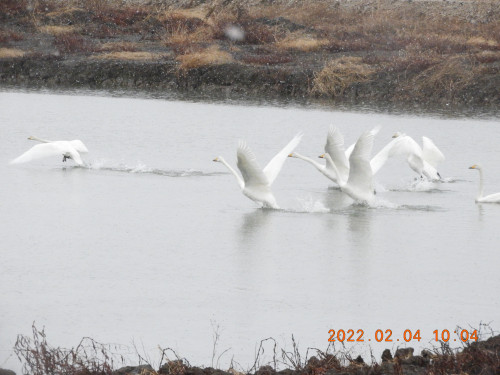 DSCN2173.JPG
