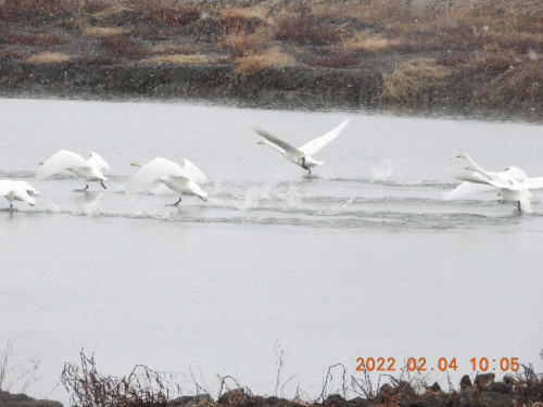 DSCN2175.JPG
