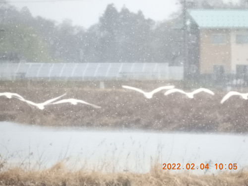 DSCN2189.JPG
