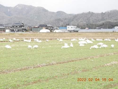 DSCN2207.JPG