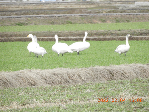 DSCN2208.JPG