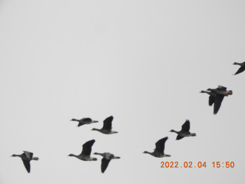 DSCN2244.JPG