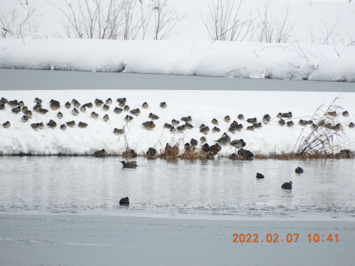 DSCN2259.JPG