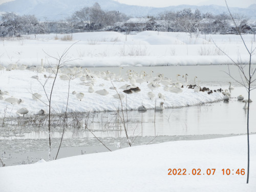 DSCN2260.JPG