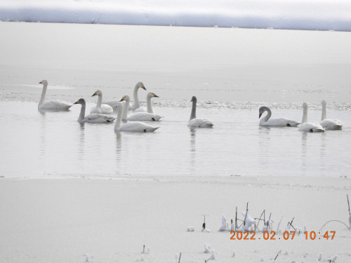 DSCN2263.JPG