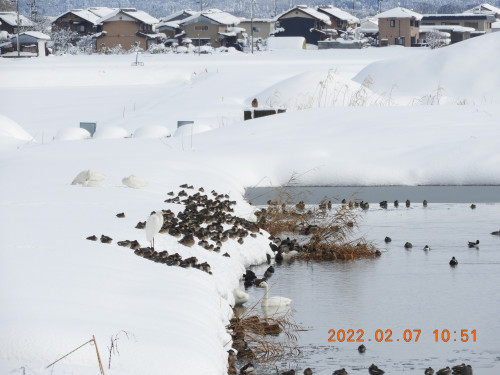 DSCN2265.JPG