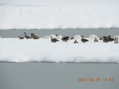DSCN2267.JPG