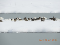 DSCN2269.JPG