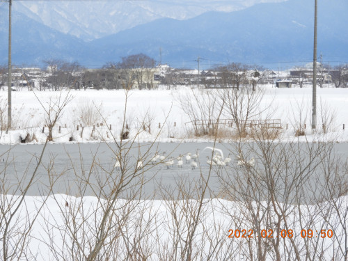 DSCN2277.JPG
