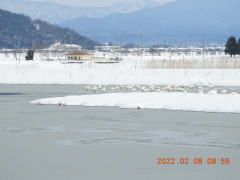 DSCN2282.JPG