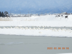 DSCN2283.JPG