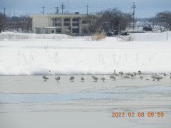 DSCN2290.JPG