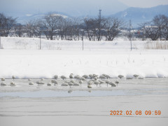 DSCN2291.JPG