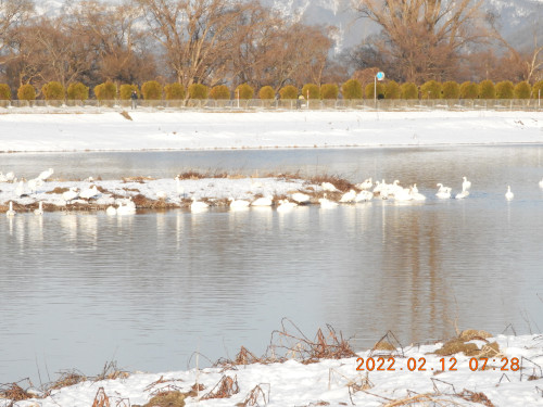 DSCN2314.JPG