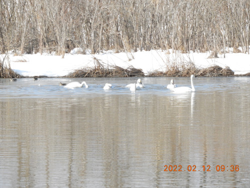 DSCN2333.JPG