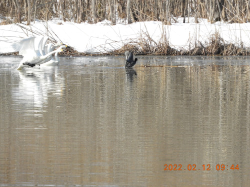 DSCN2334.JPG