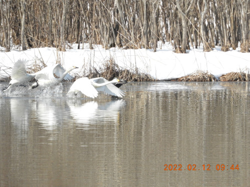 DSCN2335.JPG