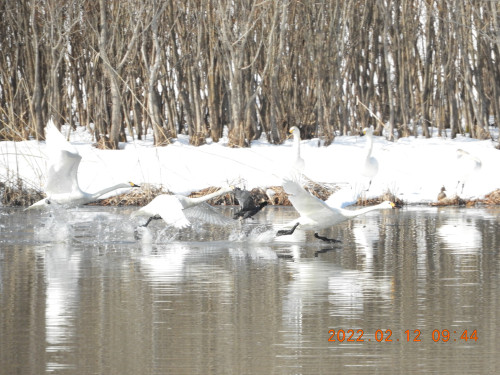 DSCN2336.JPG