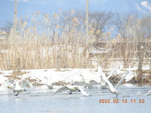 DSCN2402.JPG