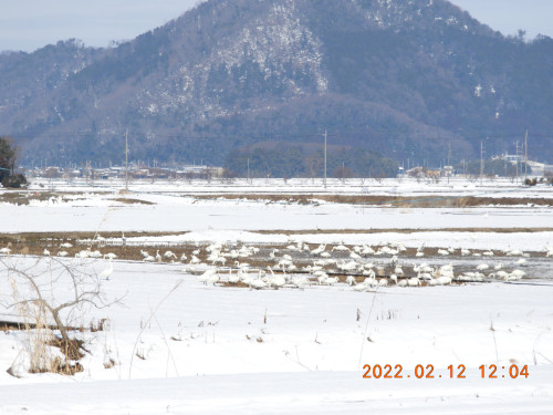DSCN2410.JPG