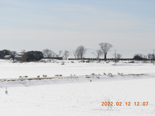 DSCN2413.JPG