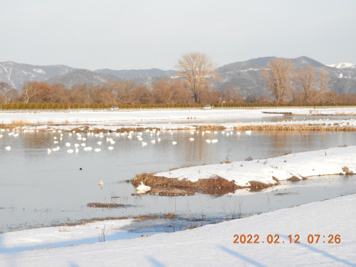 DSCN2310.JPG