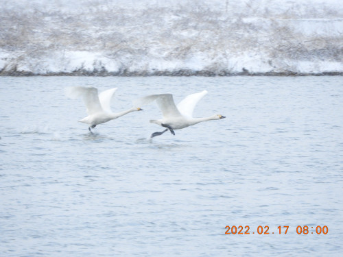 DSCN2668.JPG
