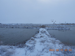 DSCN2586.JPG