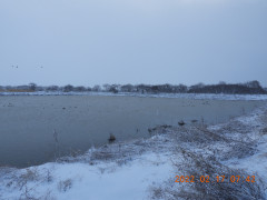 DSCN2587.JPG