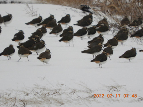 DSCN2599.JPG