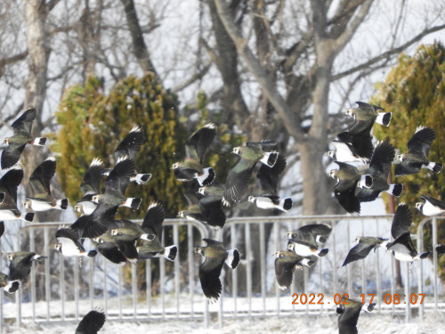 DSCN2695.JPG
