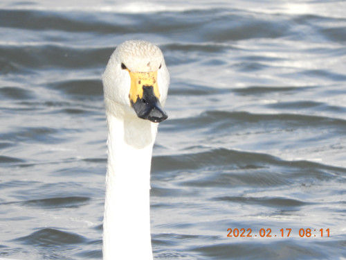 DSCN2713.JPG