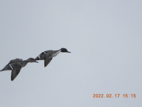 DSCN2806.JPG