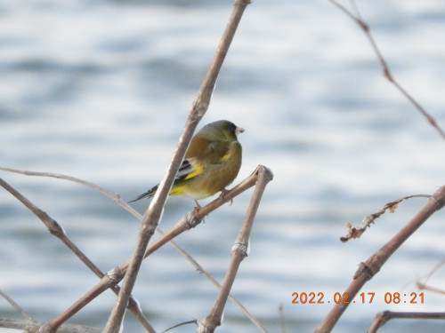 DSCN2739.JPG