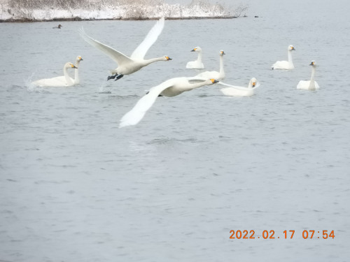DSCN2635.JPG