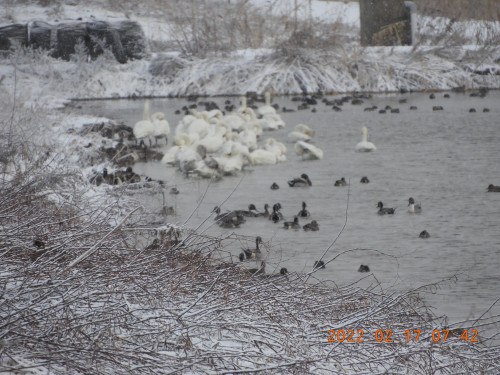 DSCN2590.JPG