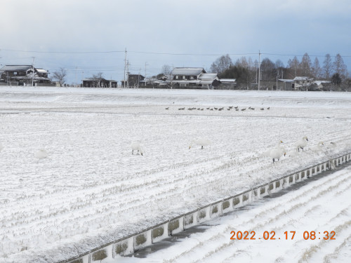 DSCN2772.JPG
