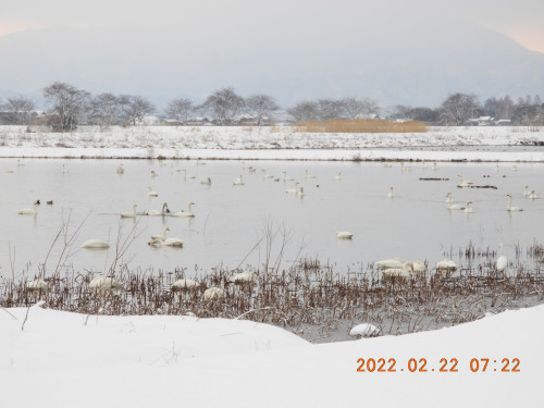 DSCN2827.JPG