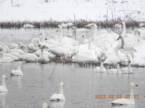 DSCN2842.JPG