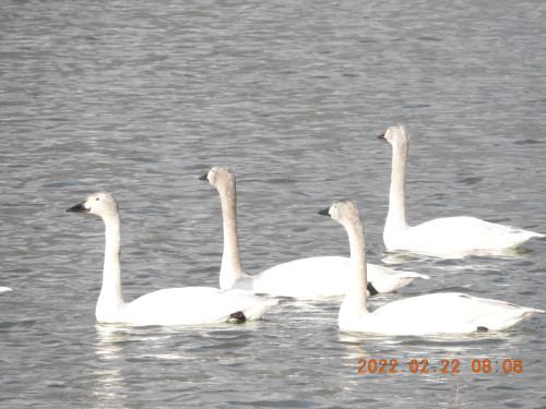DSCN2990.JPG