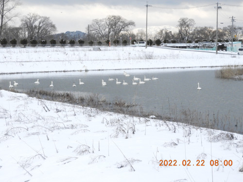 DSCN2973.JPG