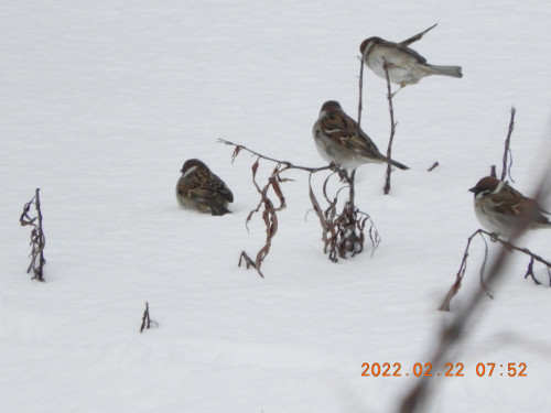 DSCN2949.JPG