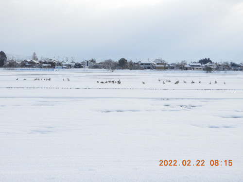 DSCN2997.JPG