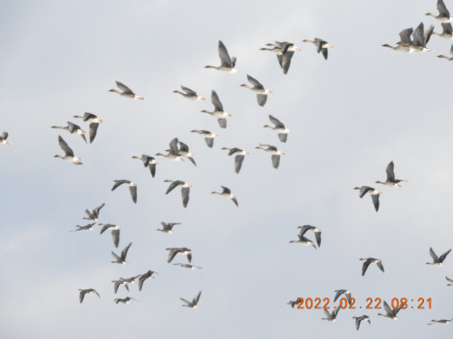 DSCN3004.JPG