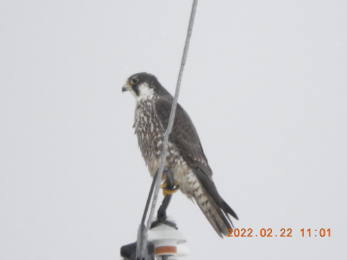 DSCN3008.JPG