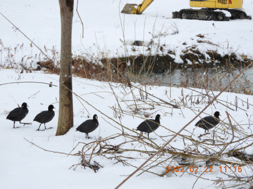 DSCN3014.JPG