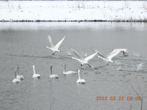 DSCN2985.JPG
