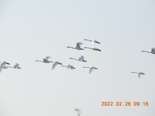 DSCN0010.JPG