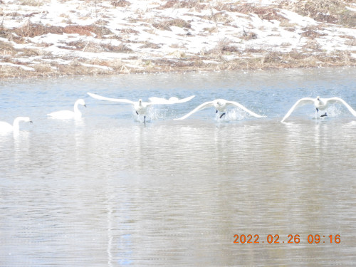 DSCN0015.JPG