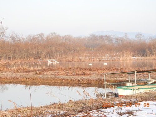 DSCN9912.JPG